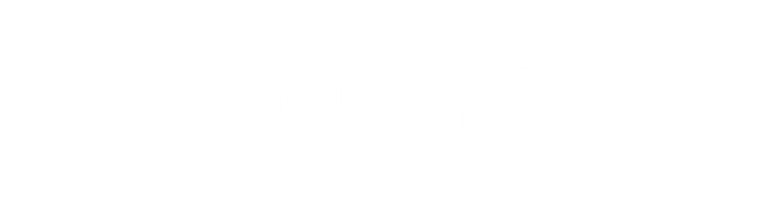 Startupinflow